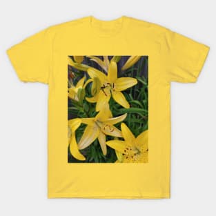 Yellow lilys T-Shirt